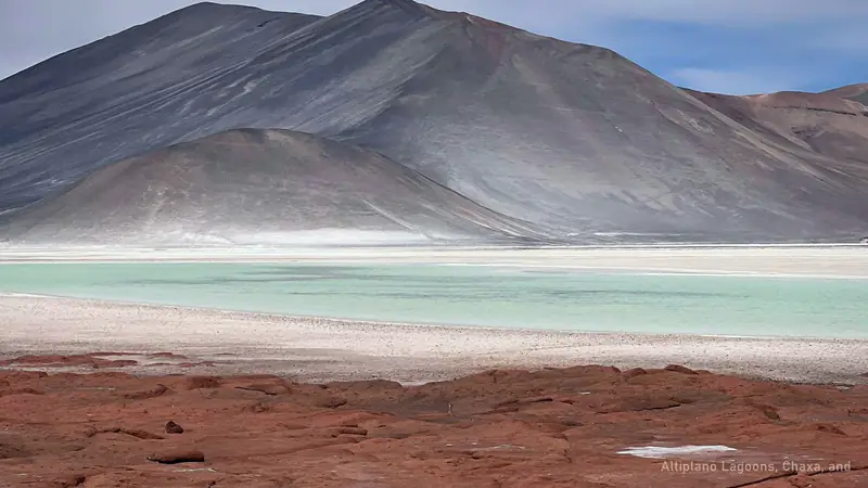 Piedras Rojas and Altiplanic Lagoons Tour — photo from the booking listing, Atacama Desert, San Pedro de Atacama