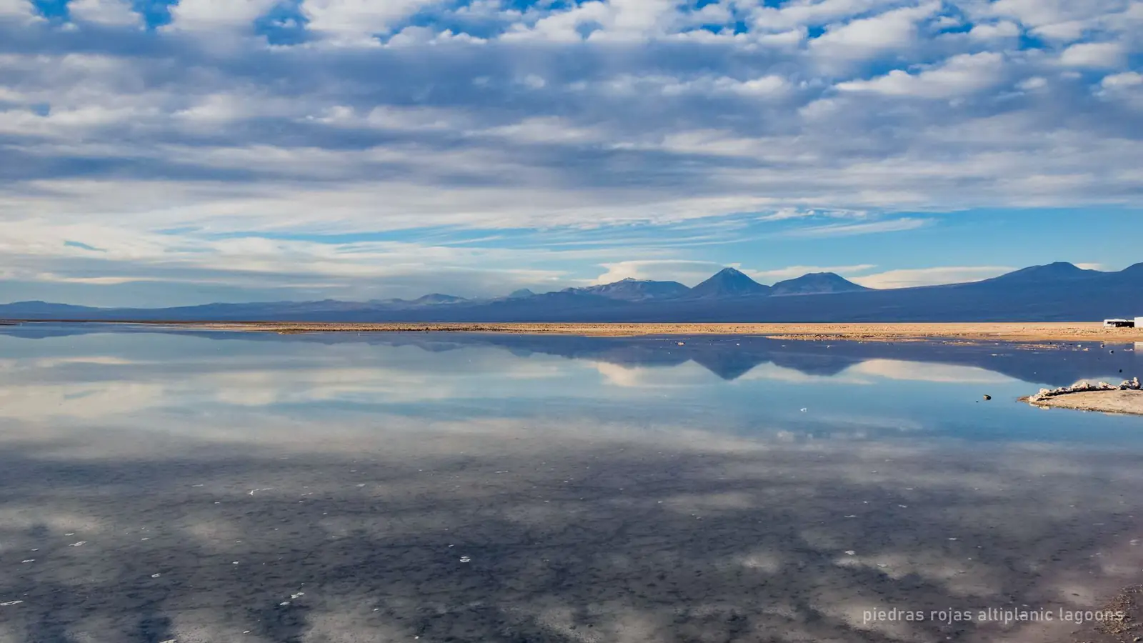 Piedras Rojas and Altiplanic Lagoons Tour — photo from the booking listing, Atacama Desert, San Pedro de Atacama